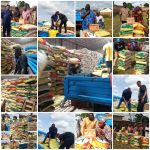 Eid-el-Kabir: Erico Distributes Rice, Rams Across Kogi East, Promises More Development