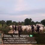 Kogi Recovers 1,000 Rustled Livestock as Security Forces Crush Late Battijo’s Bandit Network